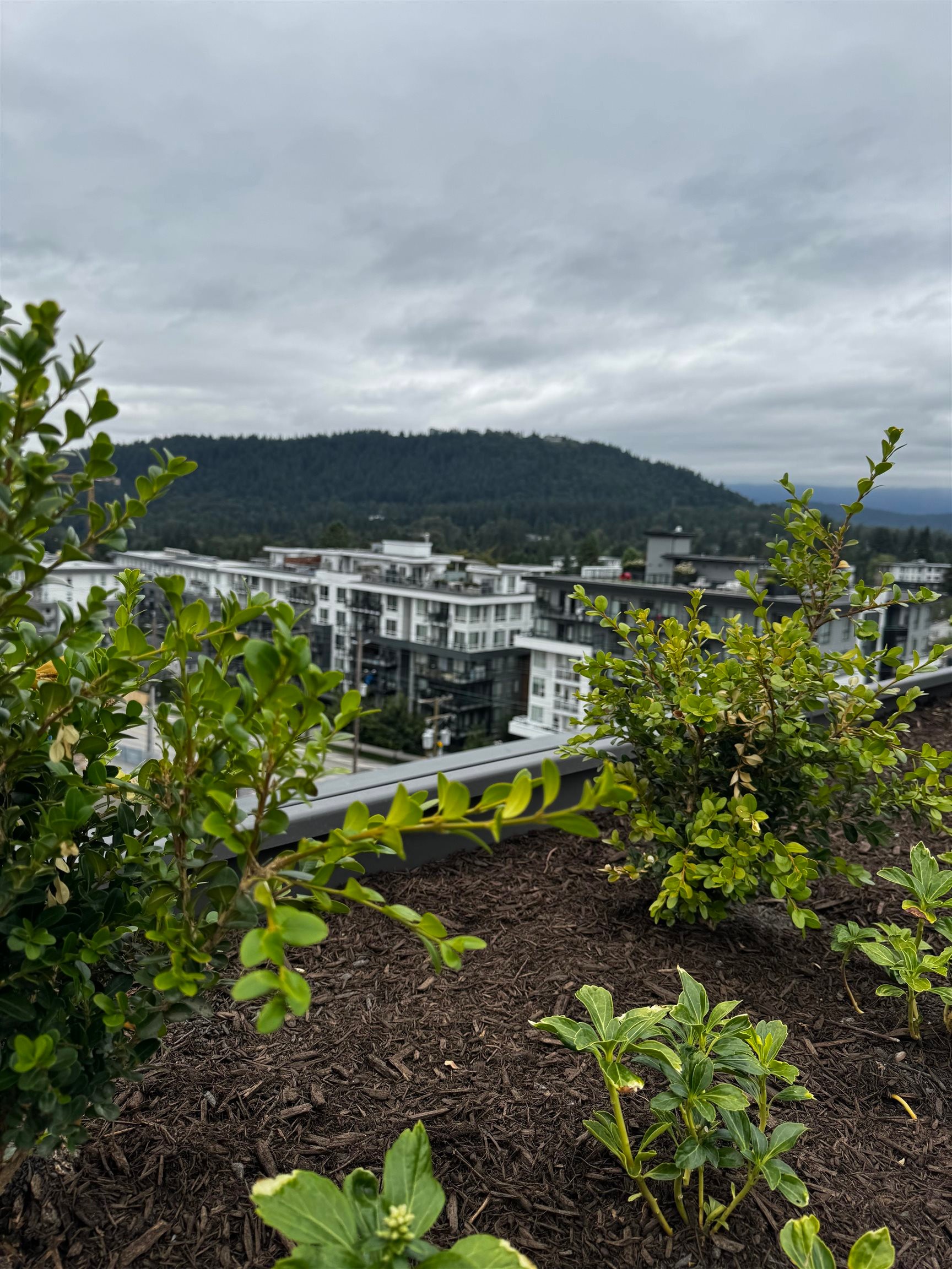 307-723 Grover Avenue, Coquitlam, BC