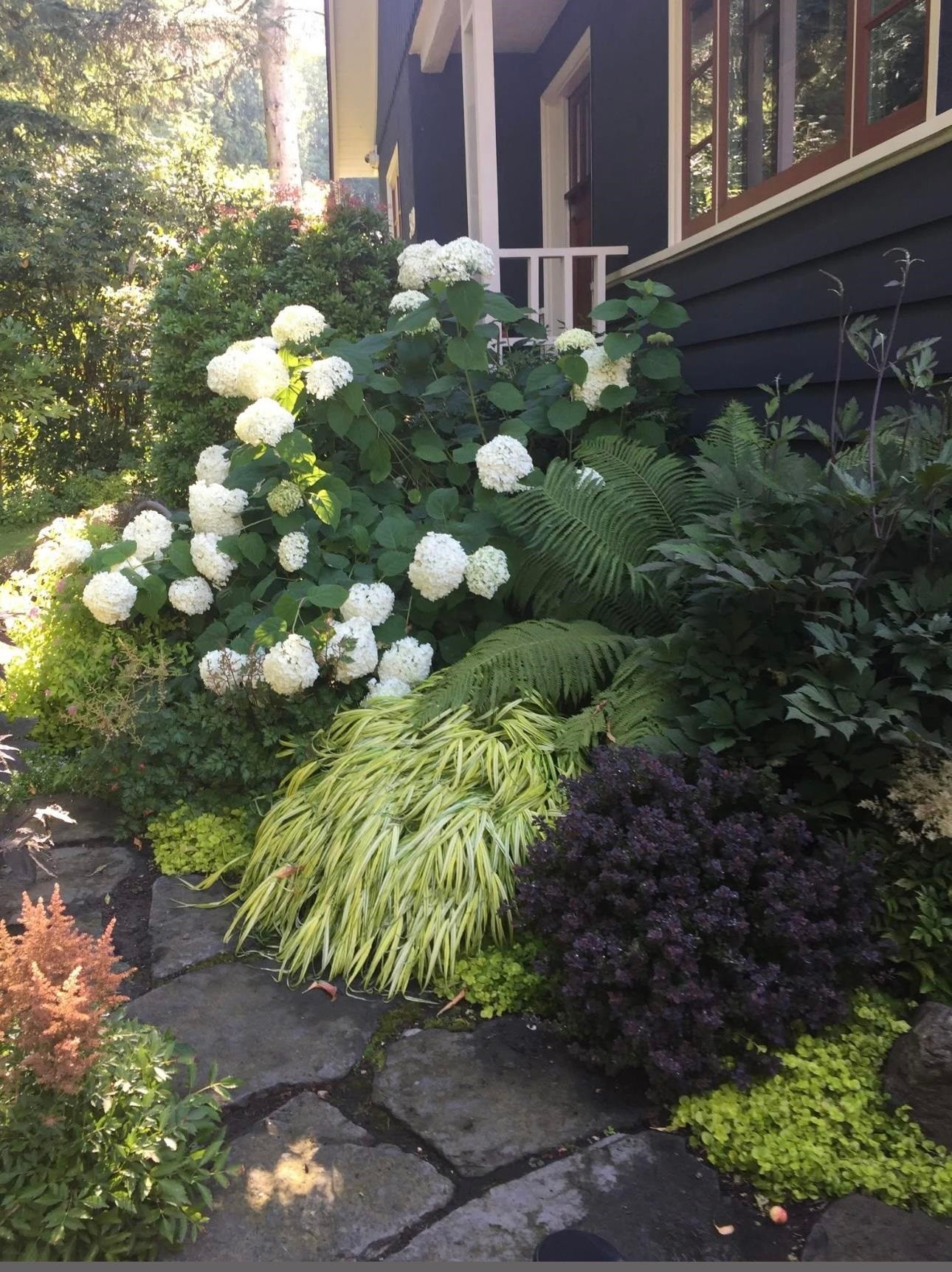 349 24Th Street E, North Vancouver, BC