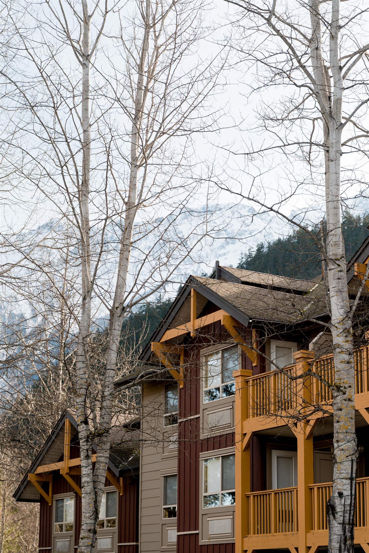 101-1490 Highway 99, Pemberton, BC