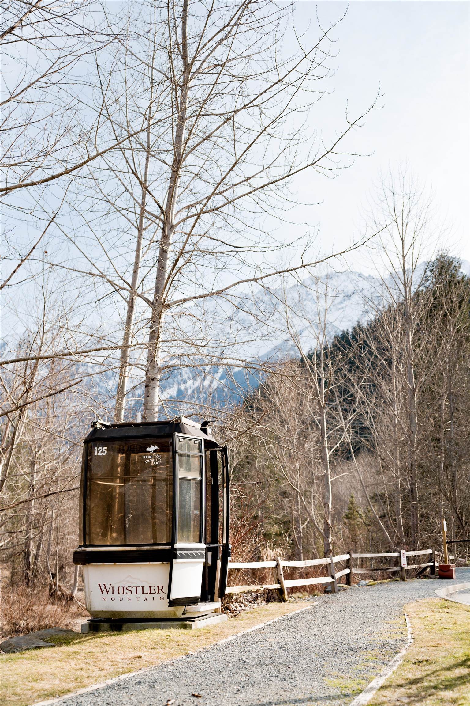 101-1490 Highway 99, Pemberton, BC