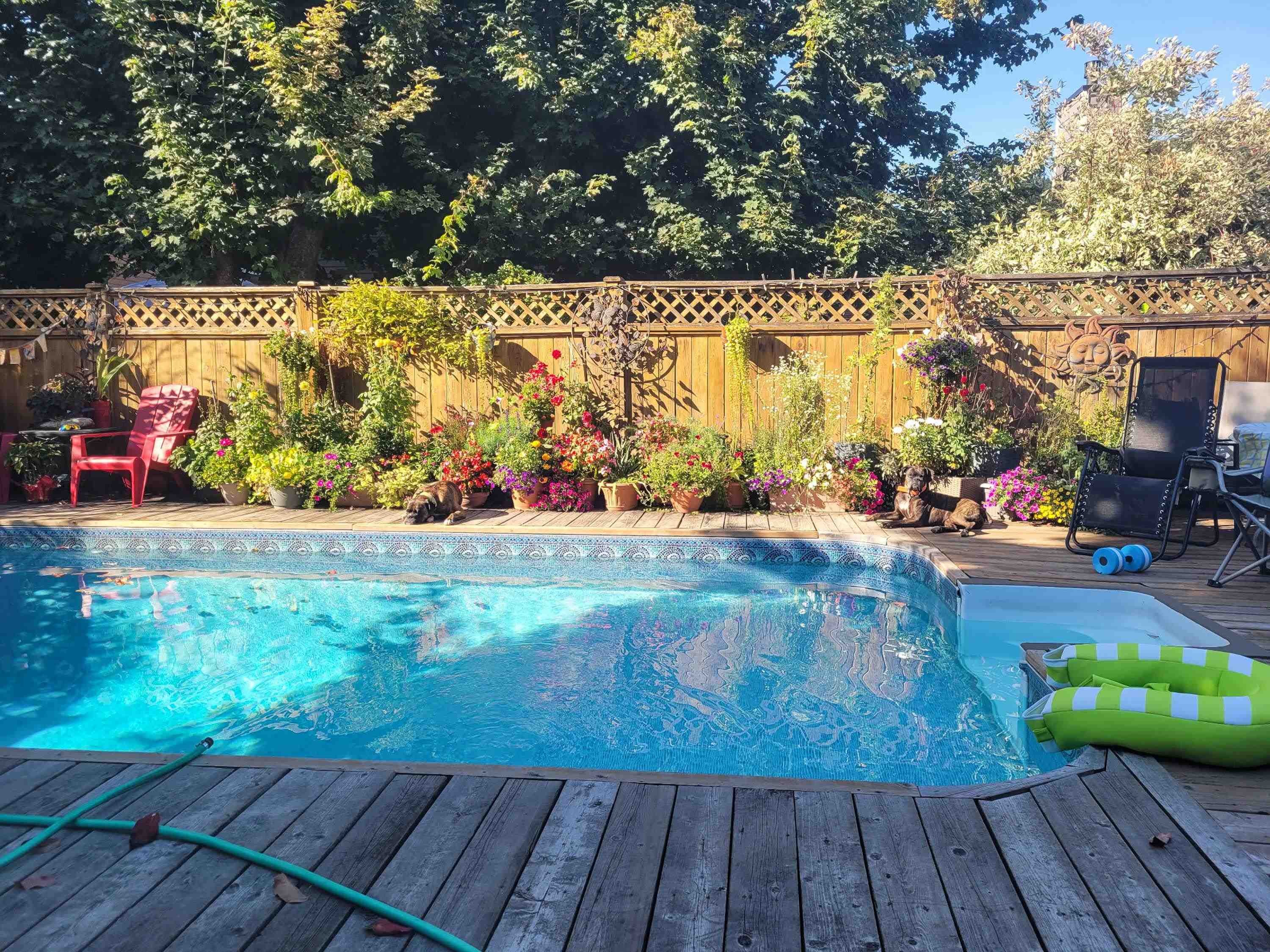 1265 Lynwood Avenue, Port Coquitlam, BC