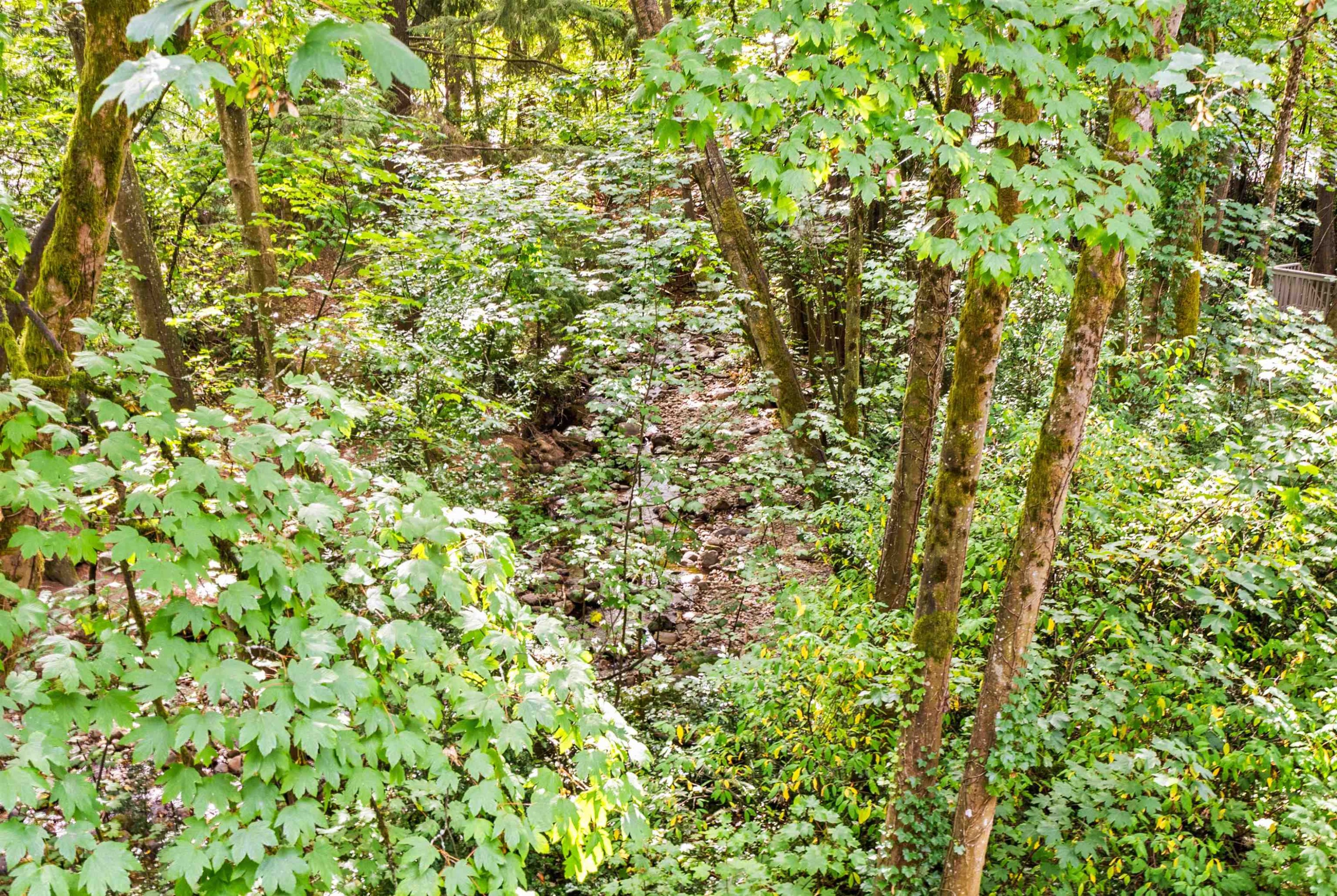 3192 Mountain Highway, North Vancouver, BC