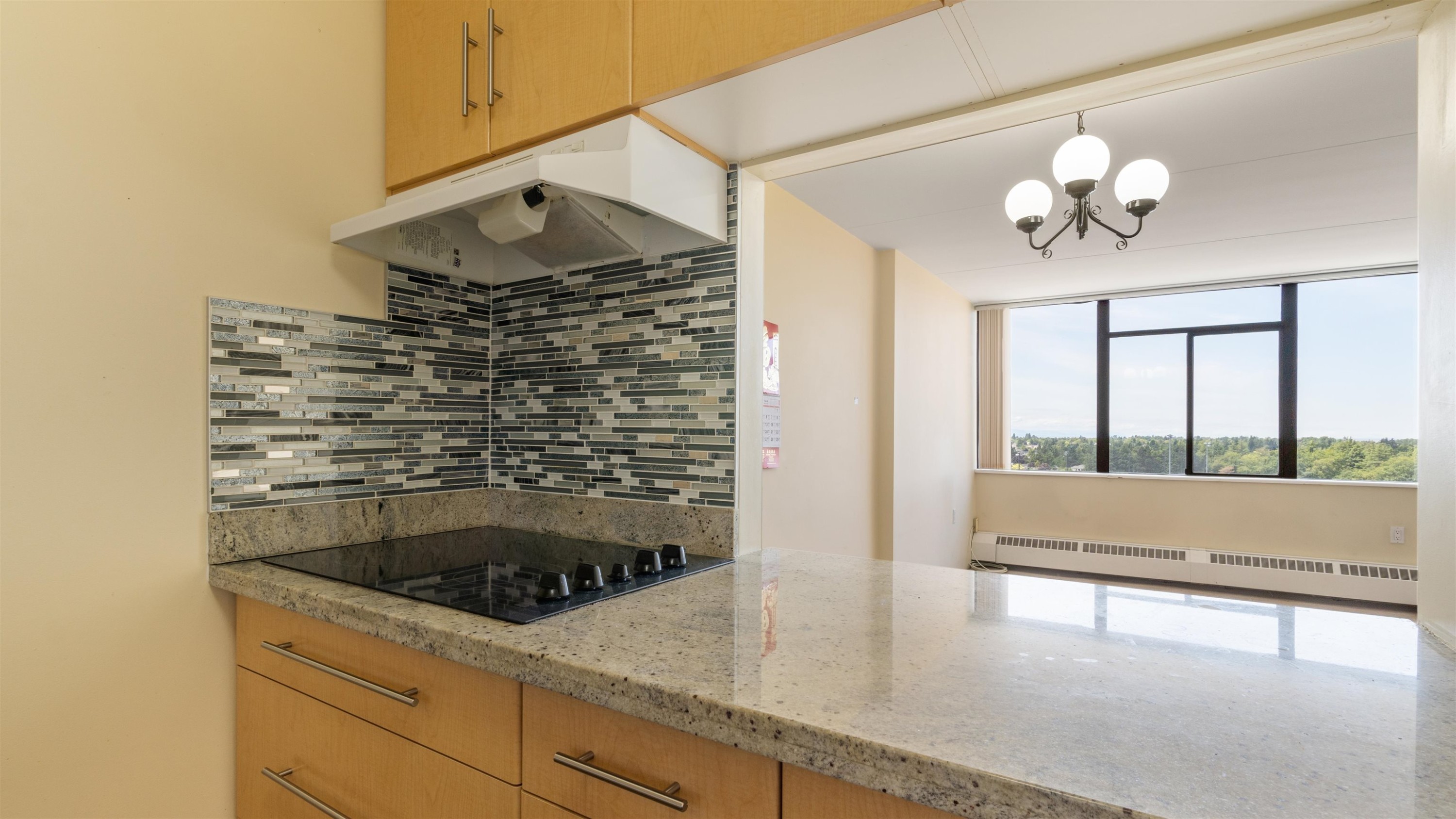 1208-6651 Minoru Boulevard, Richmond, BC