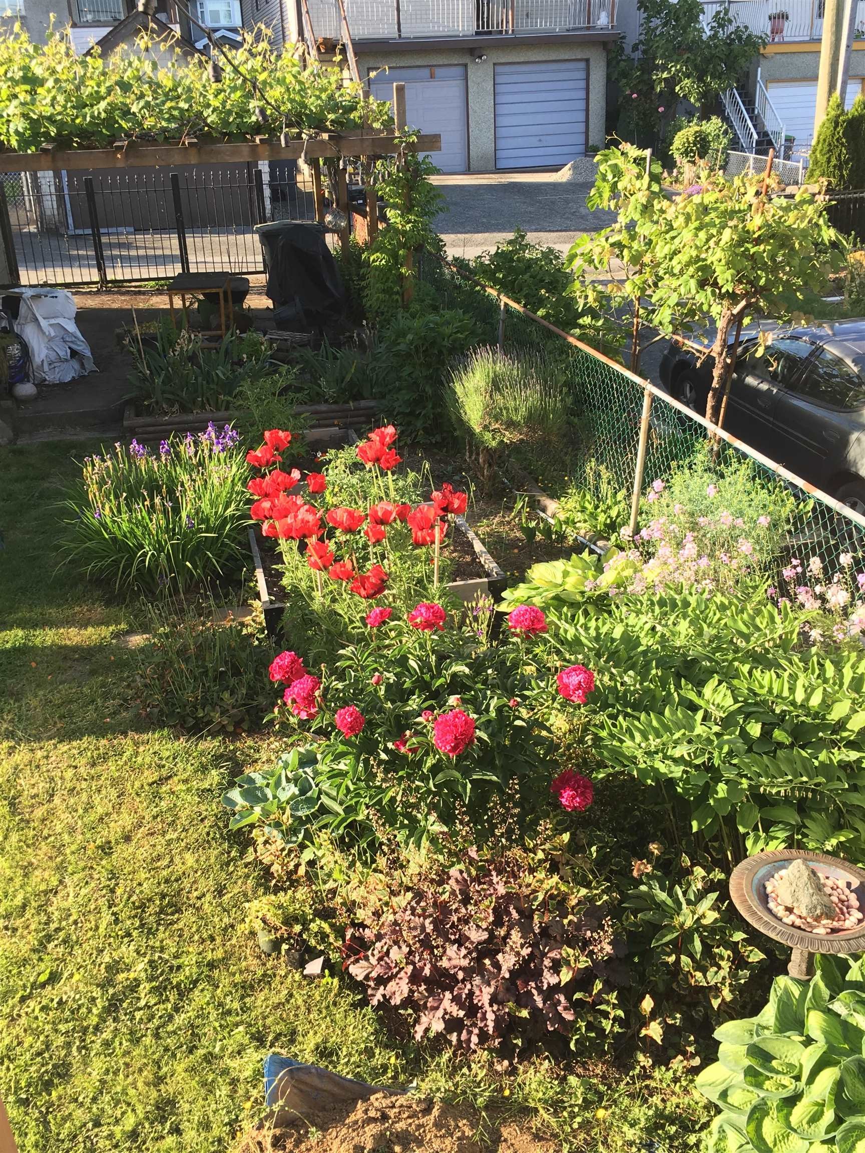 2867 Georgia Street E, Vancouver, BC