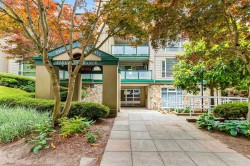 205-19142 122 Avenue Pitt Meadows, BC V3Y 2P9