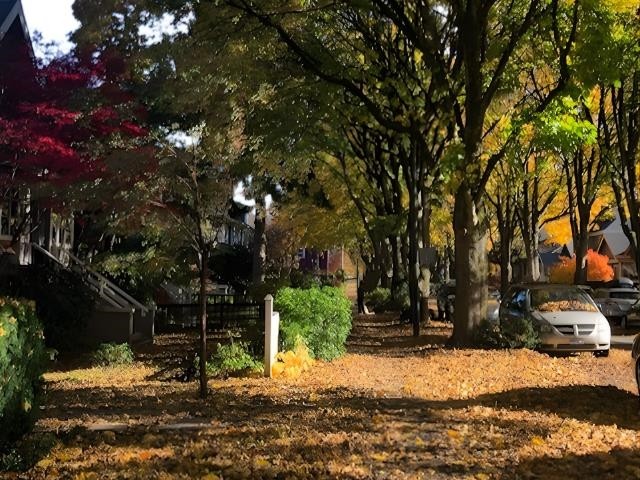 181 13Th Avenue W, Vancouver, BC