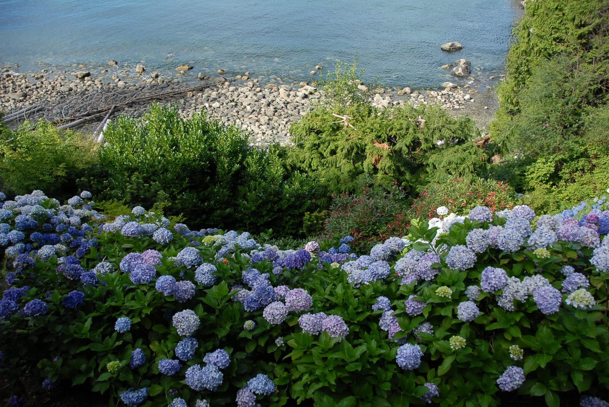 7145 Cliff Road, West Vancouver, BC