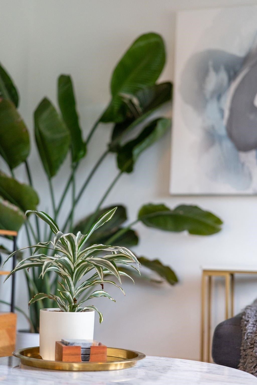 2156 Pender Street E, Vancouver, BC