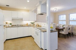 205-22720 119 Avenue Maple Ridge, BC V2X 2Z8