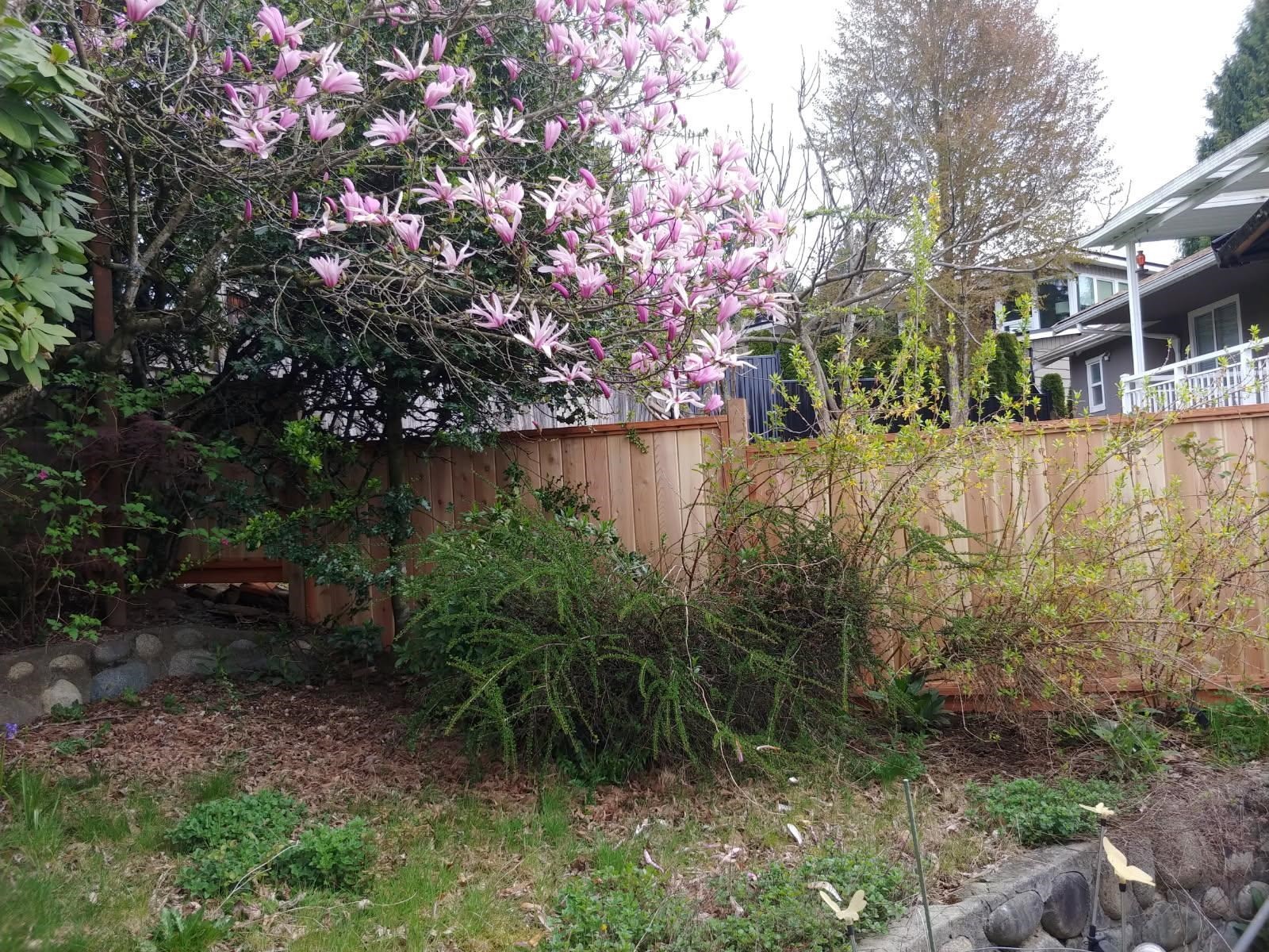 362 Seaforth Crescent, Coquitlam, BC