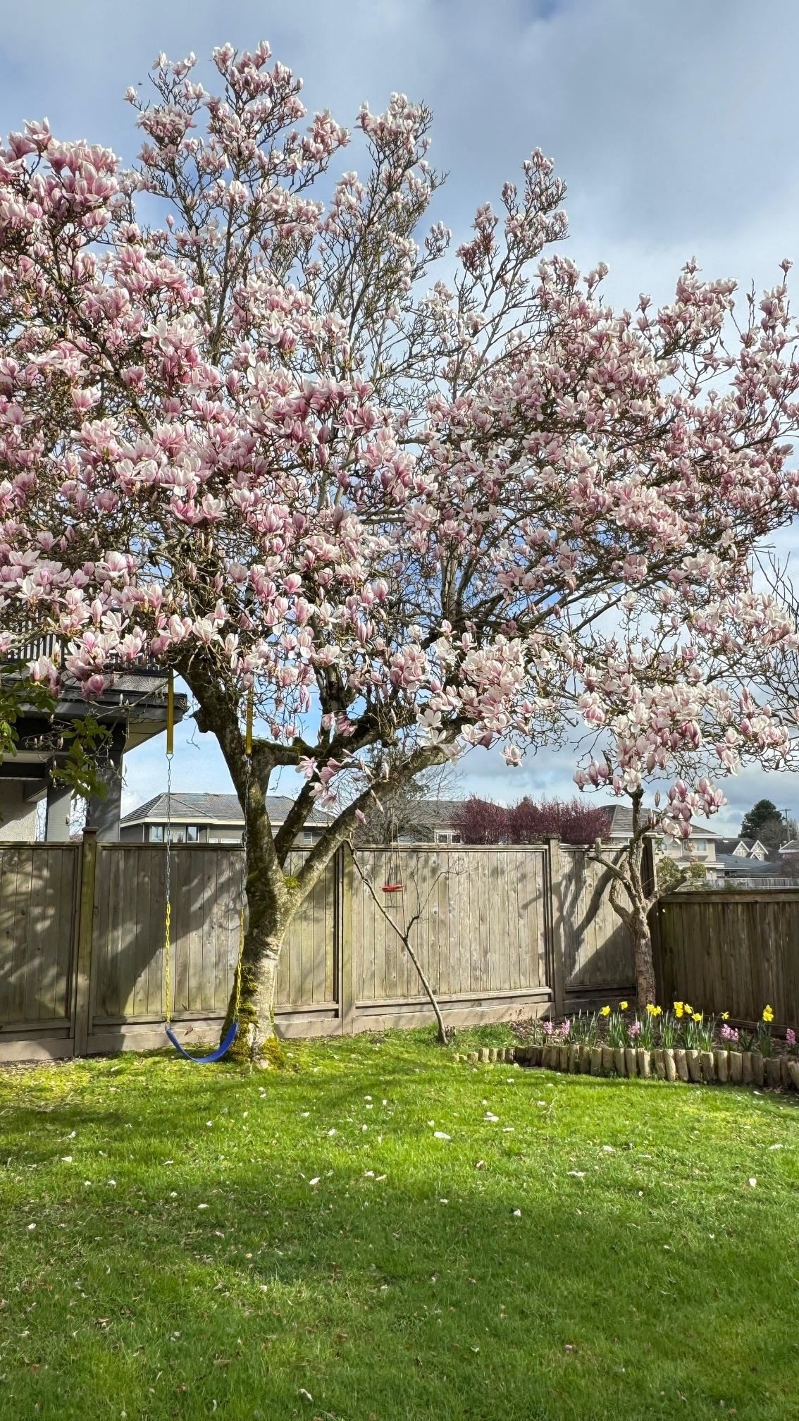 7540 Barkerville Court, Richmond, BC