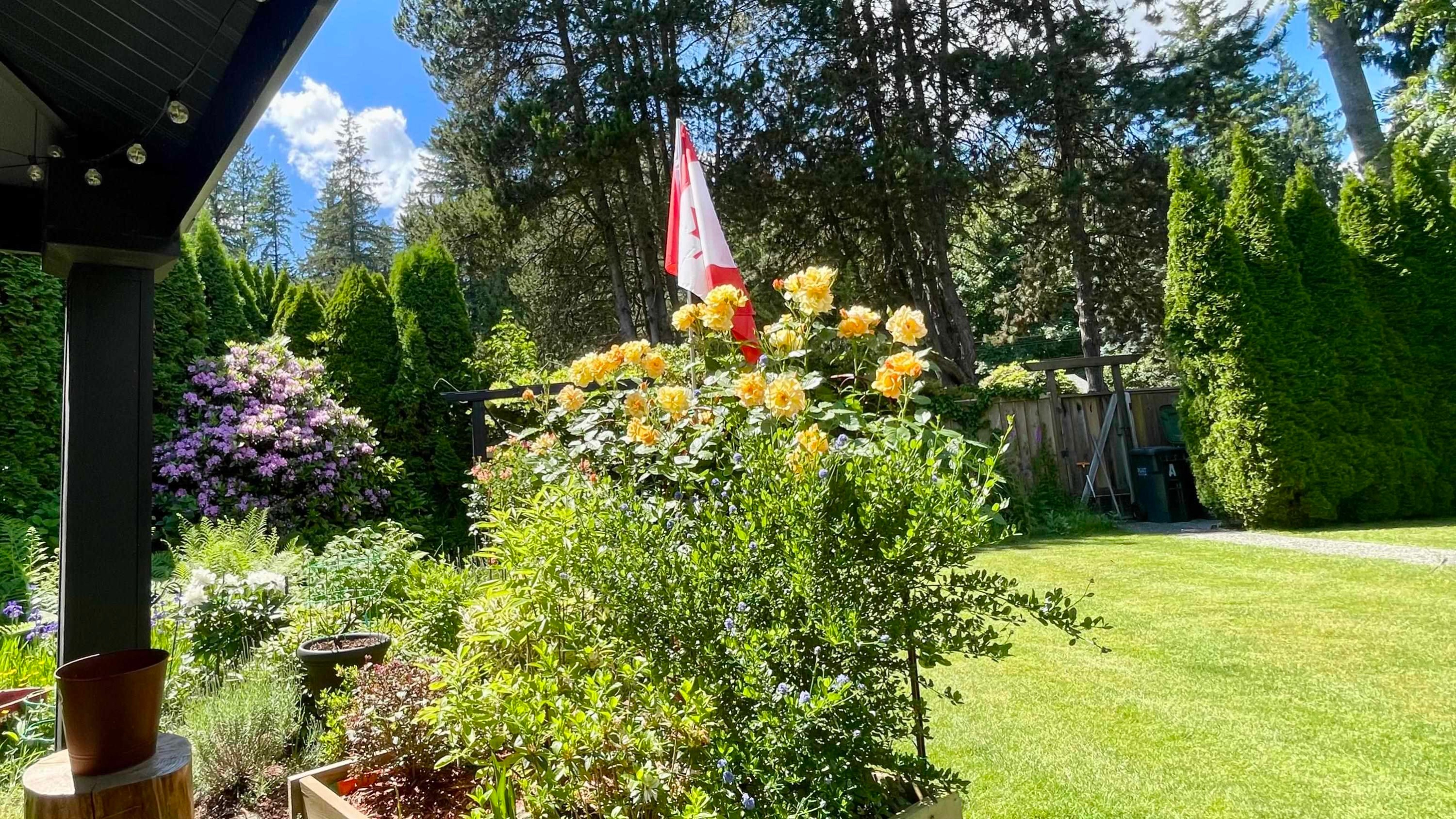 3645 Liverpool Street, Port Coquitlam, BC