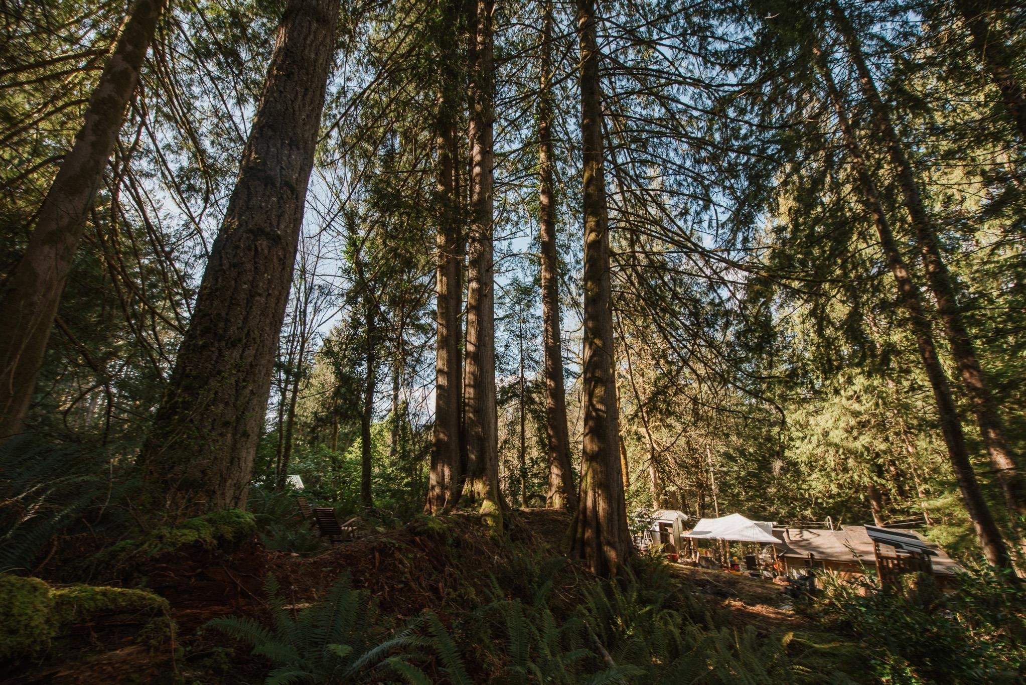5735 Naylor Road, Sechelt, BC