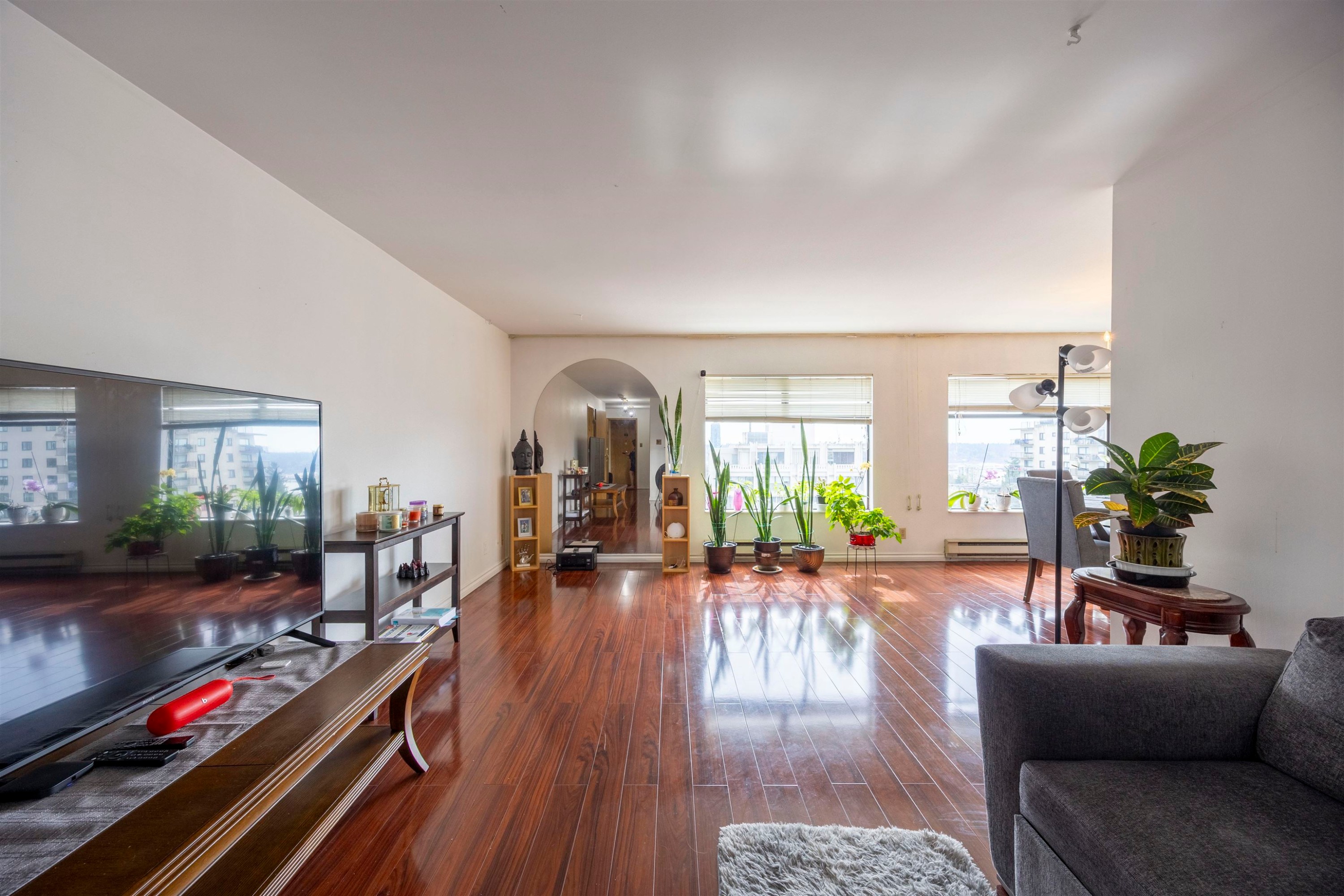 902-615 Belmont Street, New Westminster, BC - Indoor Photo Showing Living Room