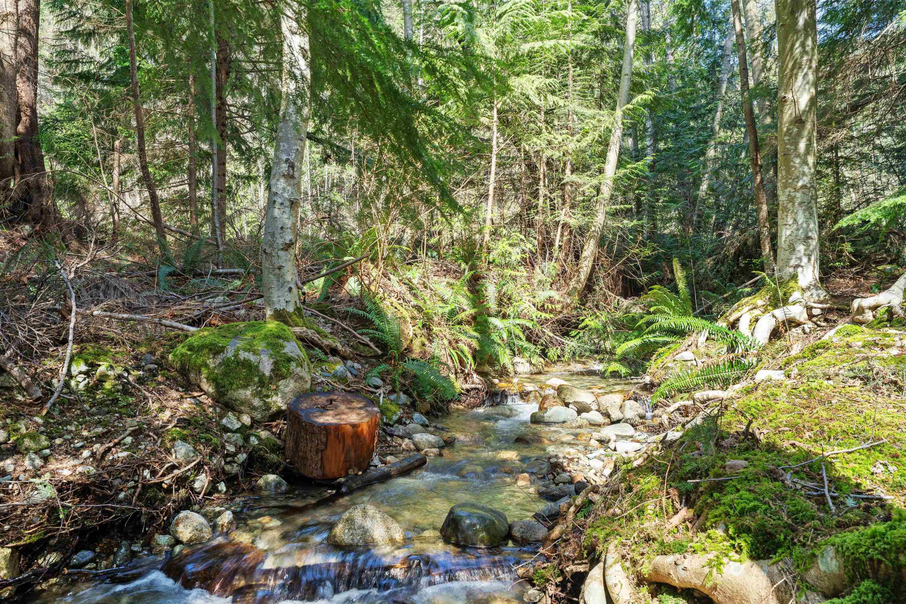 746 Upper Crescent, Squamish, BC