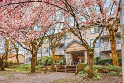 104-11960 Harris Road Pitt Meadows, BC V3Y 2R1