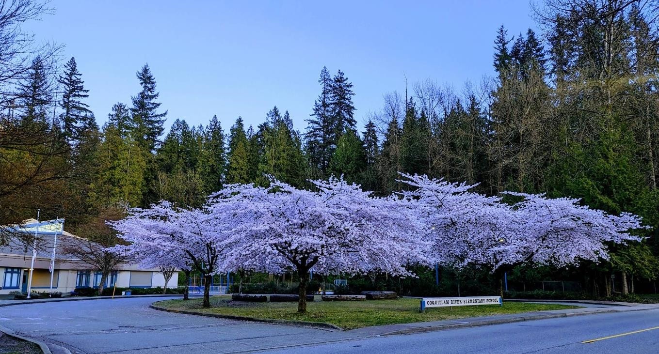 1904 Lodge Place, Coquitlam, BC