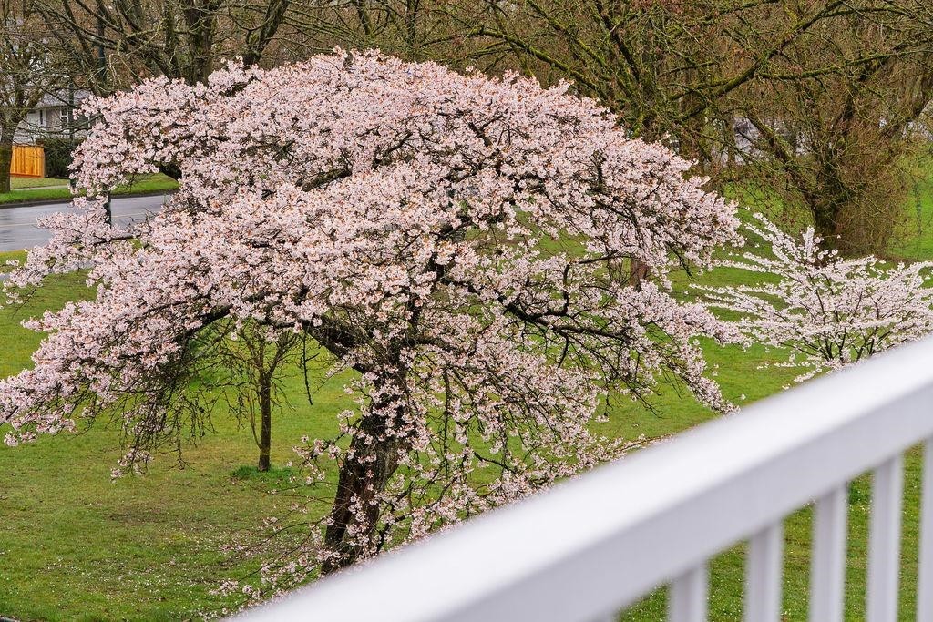 5681 Killarney Street, Vancouver, BC