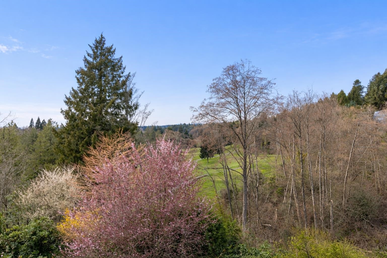 2236 Yewbrook Place, Vancouver, BC