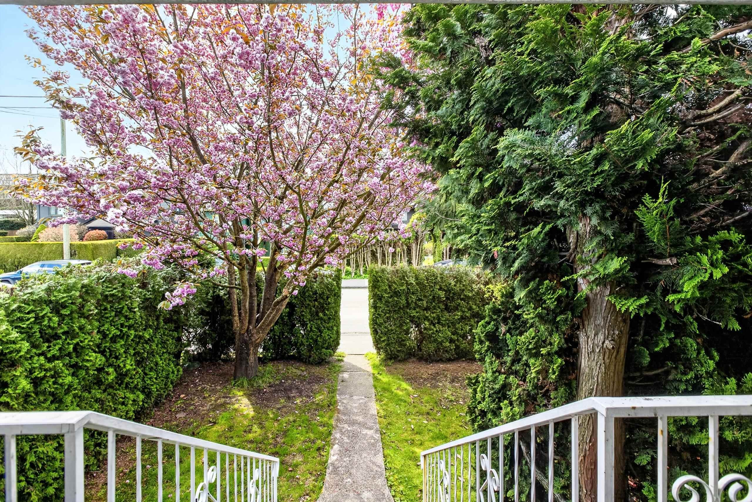 2975 8Th Avenue W, Vancouver, BC
