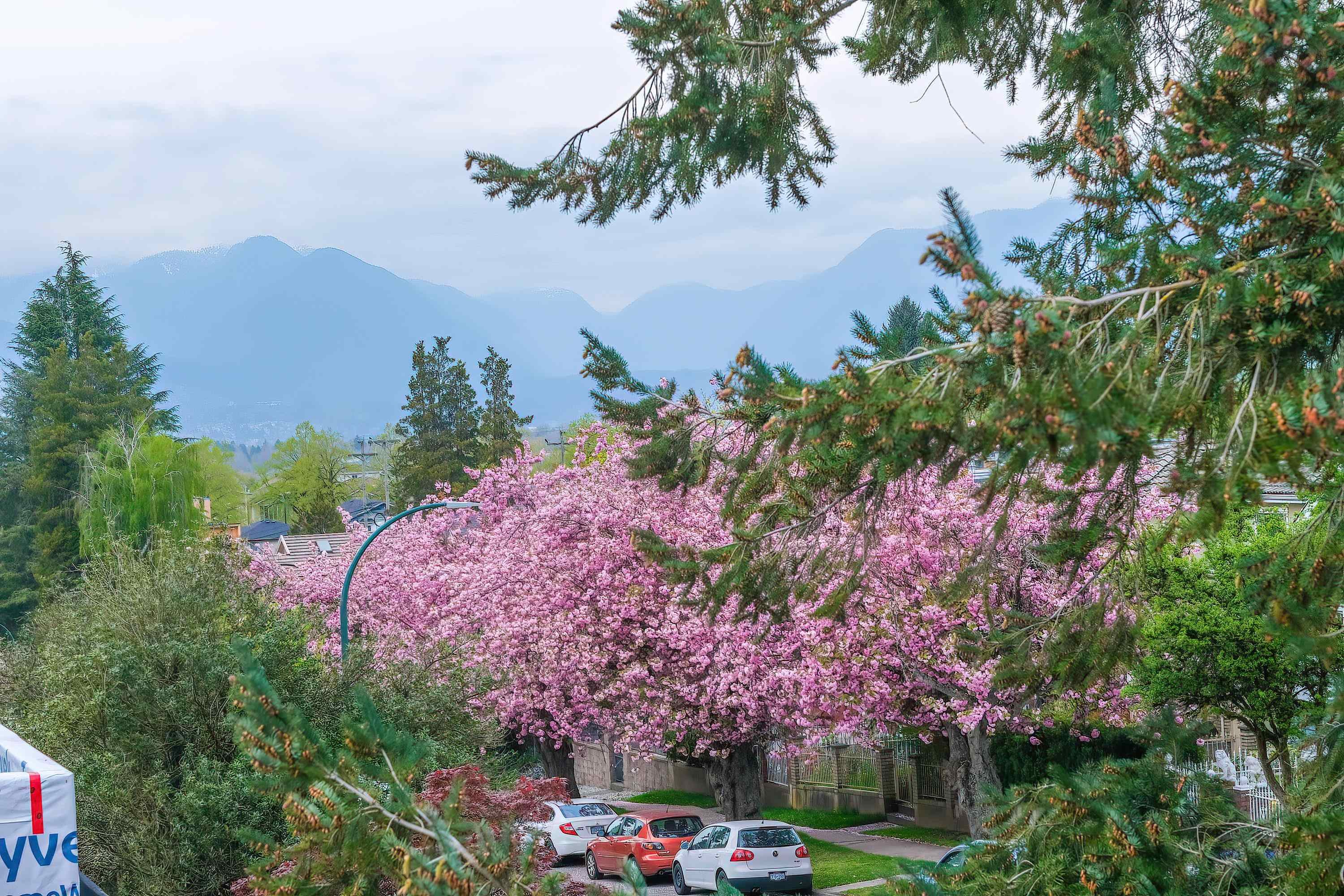 5593 Fleming Street, Vancouver, BC