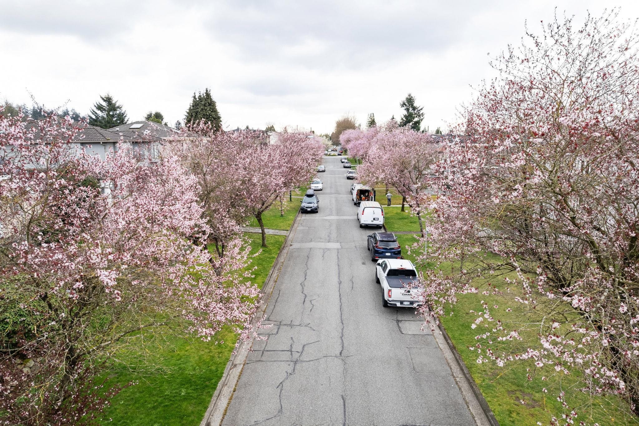 5878 Arlington Street, Vancouver, BC