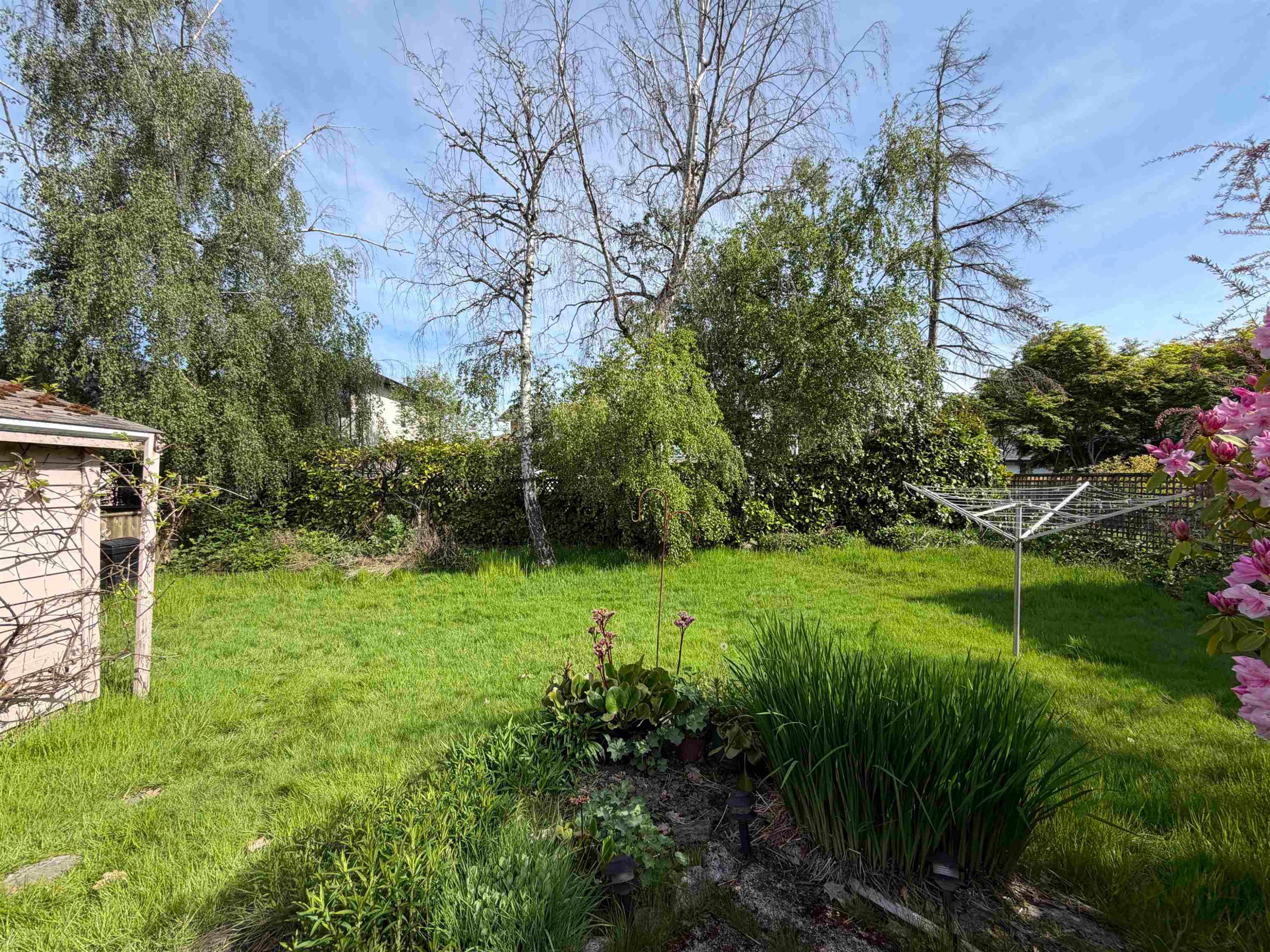 3431 Springford Avenue, Richmond, BC