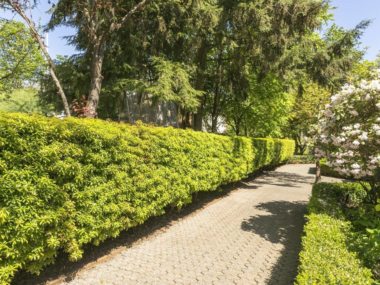 3184 Mountain Highway, North Vancouver, BC