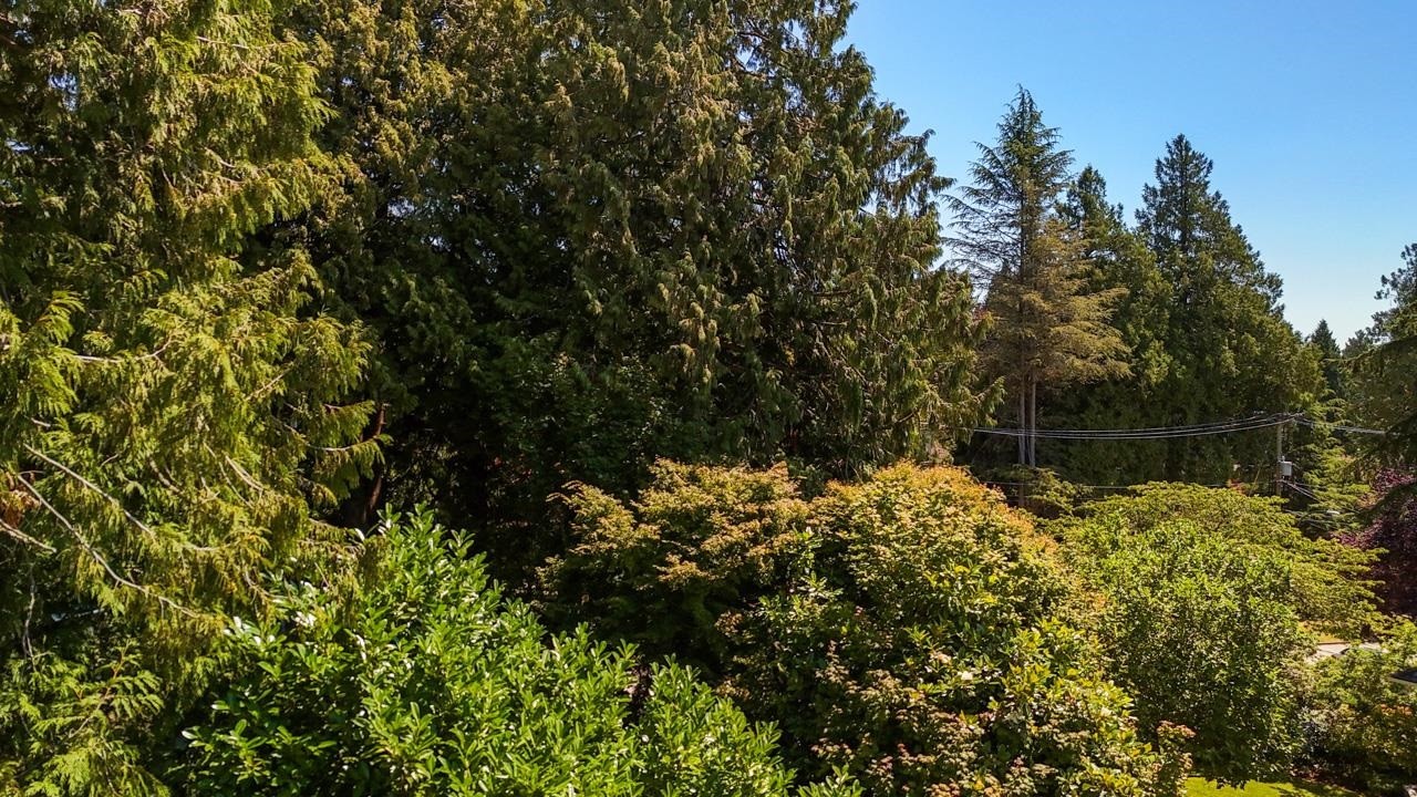 3060 45Th Avenue W, Vancouver, BC