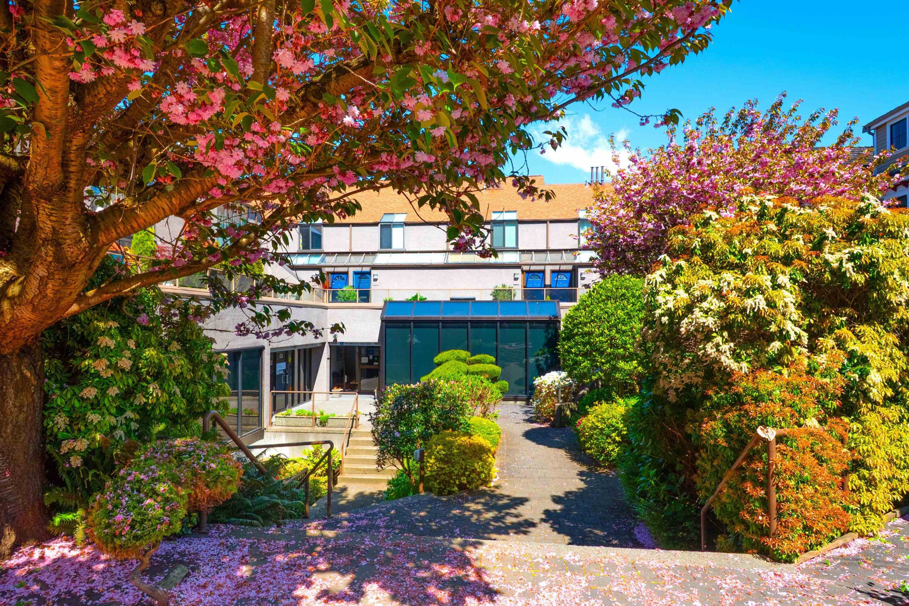 1167 8Th Avenue W, Vancouver, BC