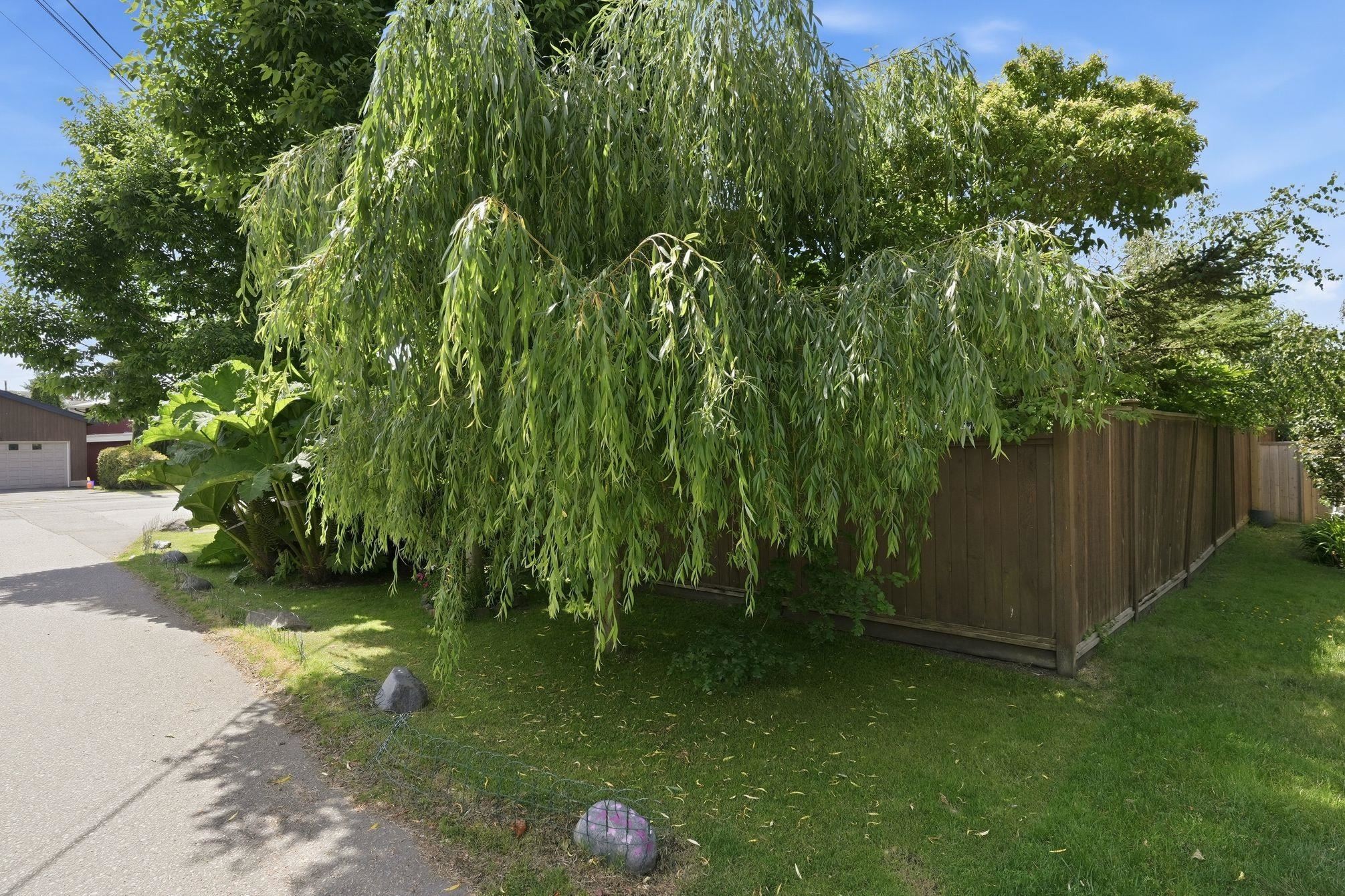 1291 Morris Crescent, Delta, BC
