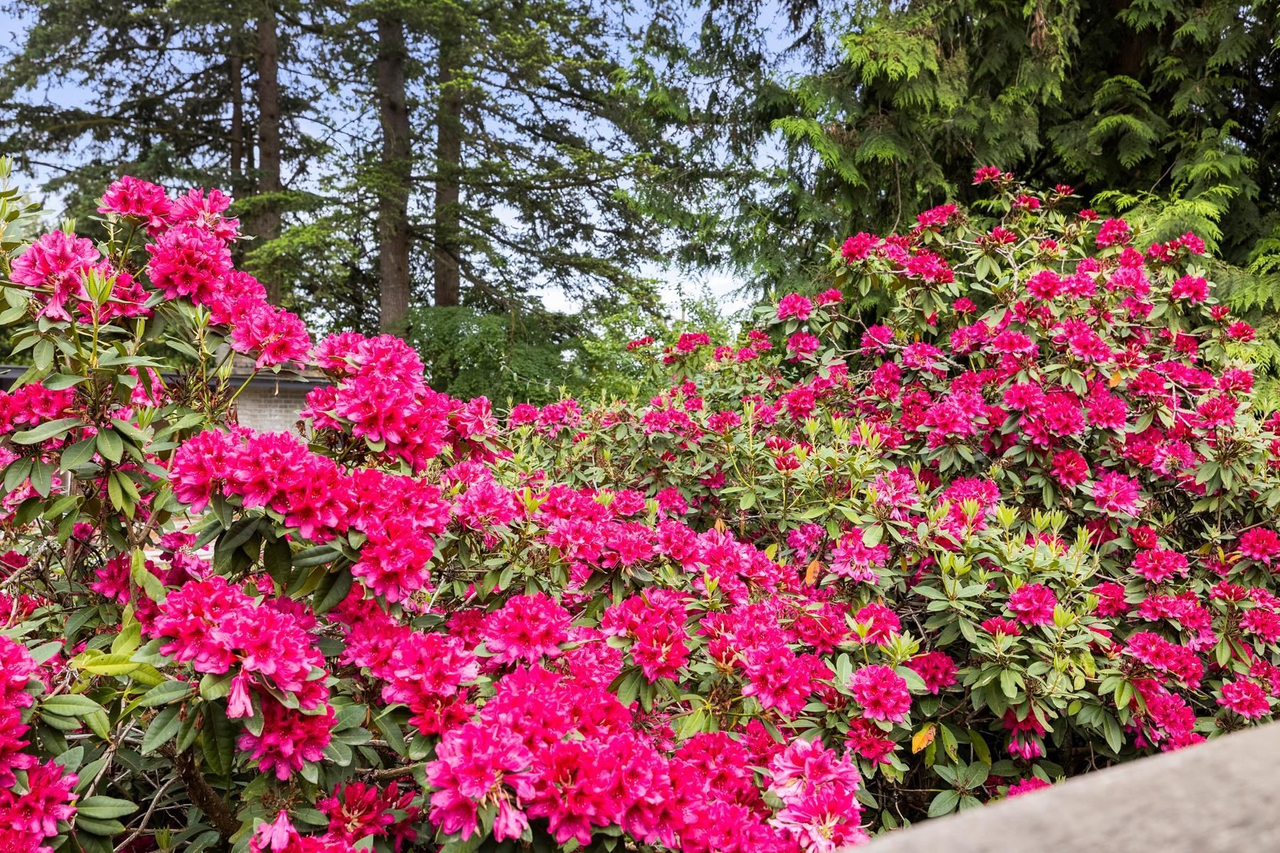 1561 Merlynn Crescent, North Vancouver, BC
