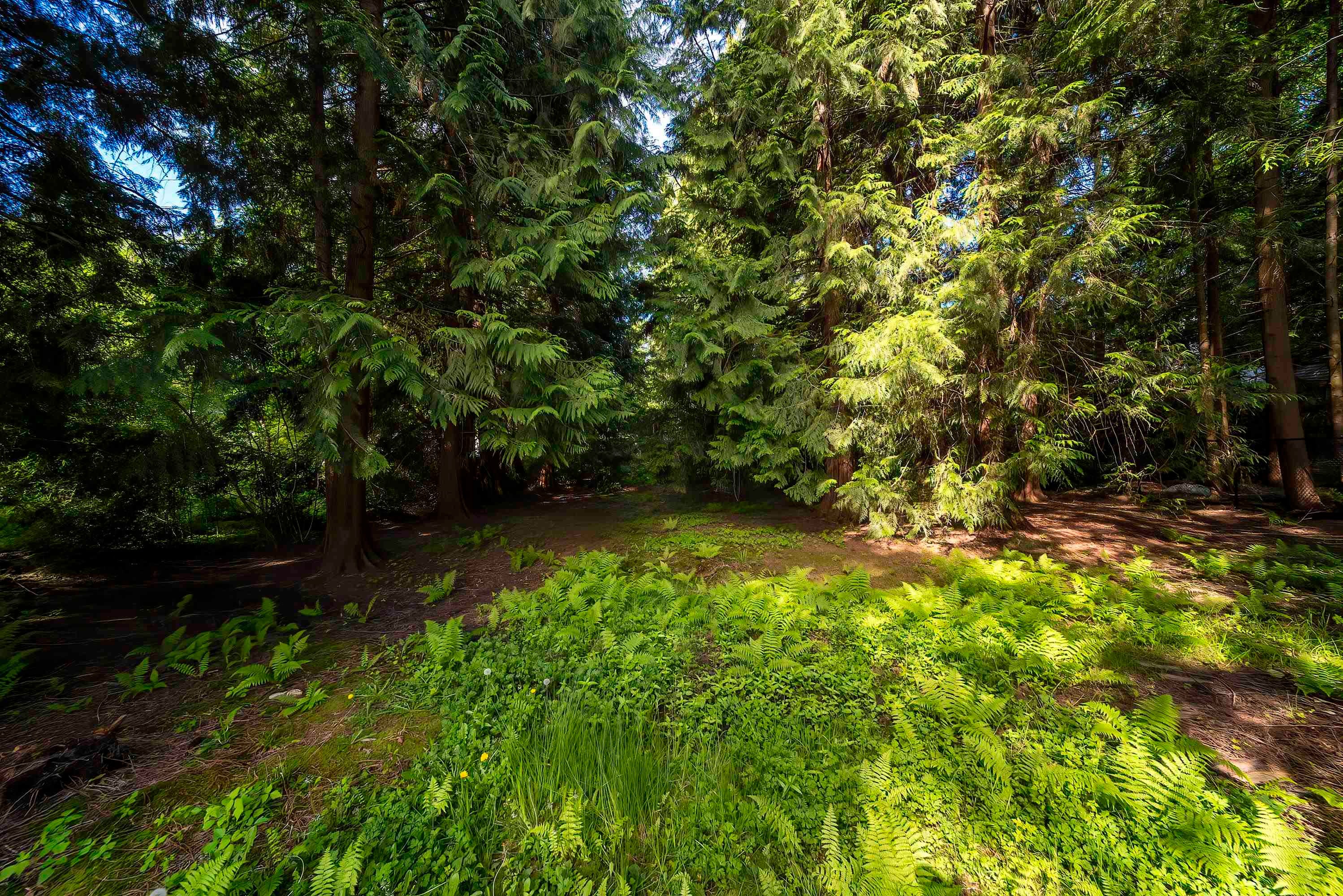 4067 Sefton Street, Port Coquitlam, BC