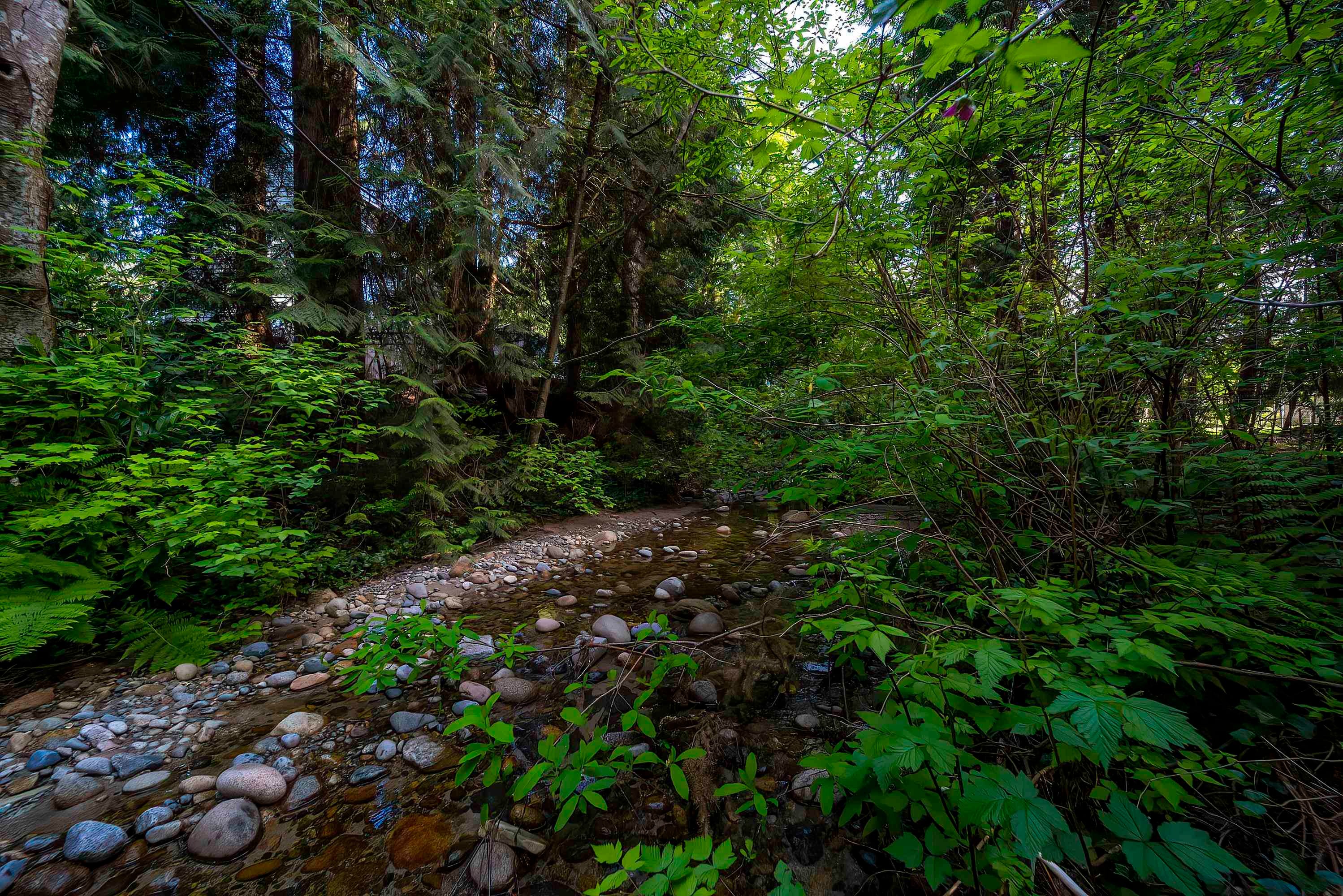 4067 Sefton Street, Port Coquitlam, BC