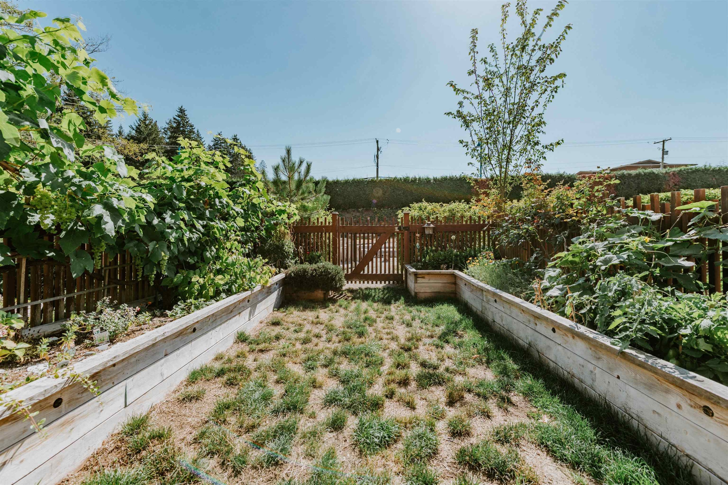 5972 Oldmill Lane, Sechelt, BC