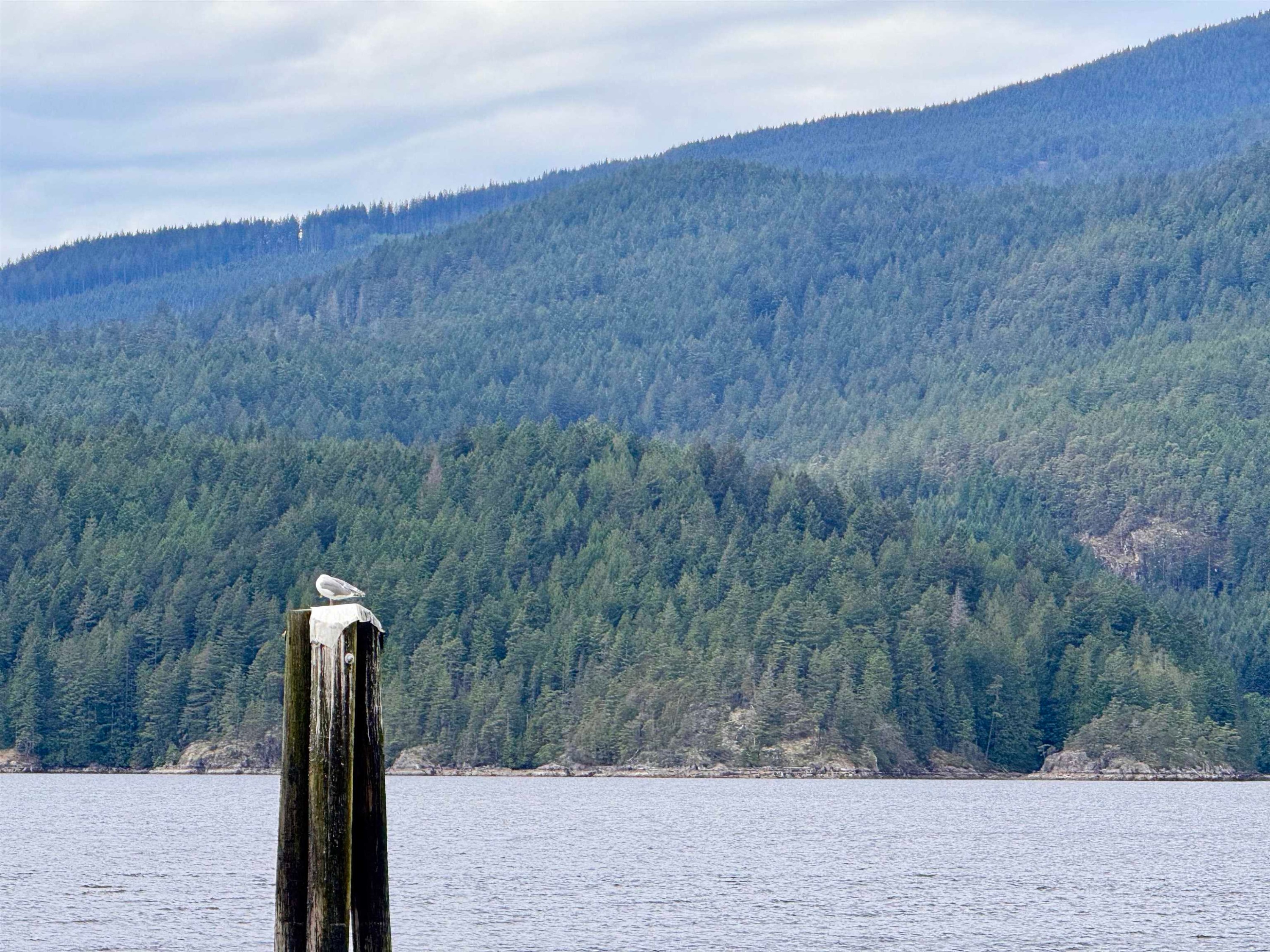 7425 Sechelt Inlet Road, Sechelt, BC