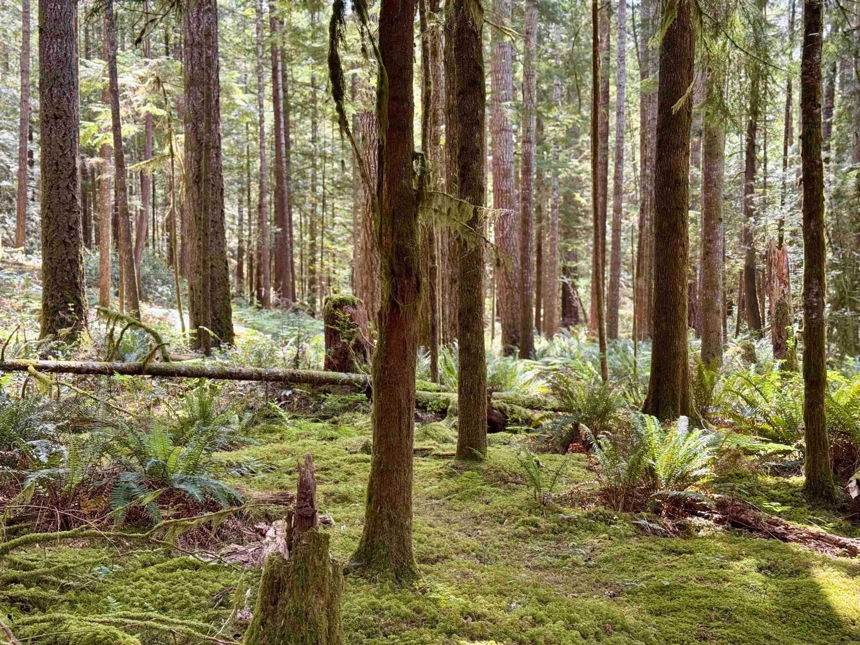 7425 Sechelt Inlet Road, Sechelt, BC
