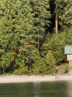 9 Osprey Creek Pitt Meadows, BC V0V 0V0