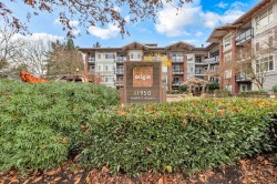217-11950 Harris Road Pitt Meadows, BC V3Y 0B7