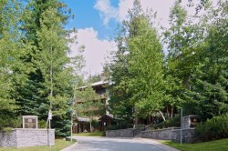 303G2-4653 Blackcomb Way Whistler, BC V8E 0Y9