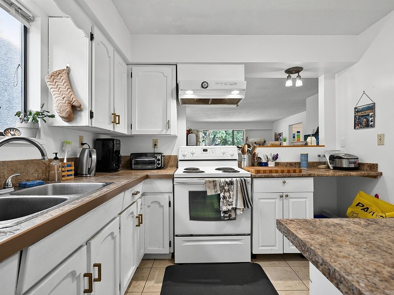 442 10Th Avenue E, Vancouver, BC - Indoor Photo Showing Kitchen With Double Sink
