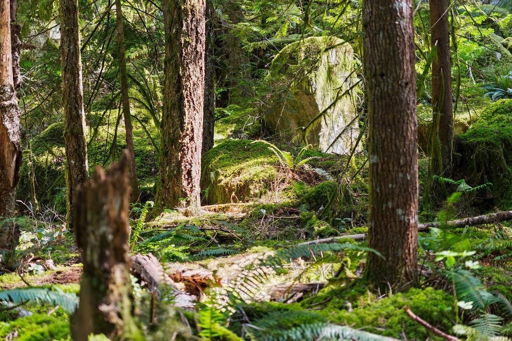 2050 Midnight Way, Squamish, BC - Outdoor