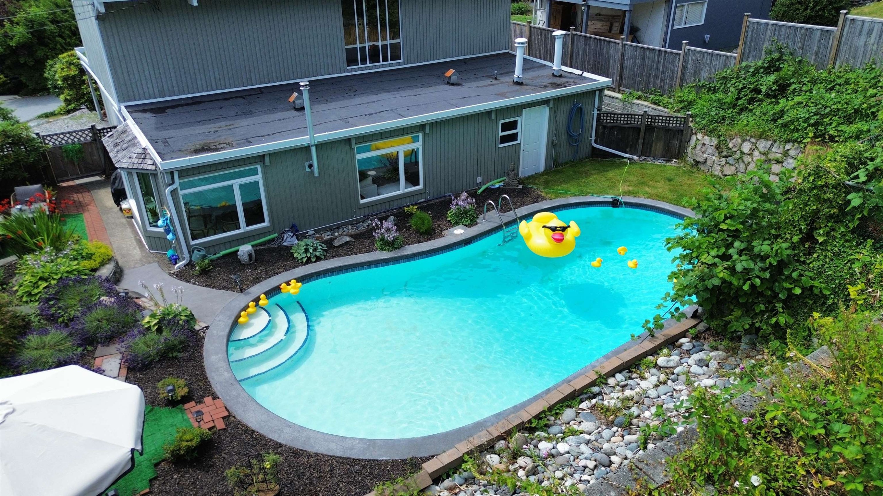 442 Monteray Avenue, North Vancouver, BC - Outdoor With In Ground Pool With Deck Patio Veranda With Exterior