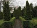 4633 4Th Avenue W, Vancouver, BC  - Outdoor 