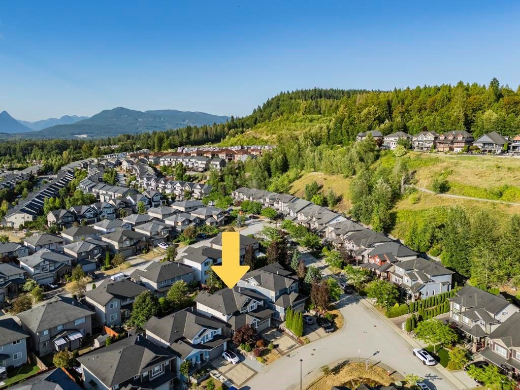 24699 103A Avenue, Maple Ridge, BC - Outdoor With View