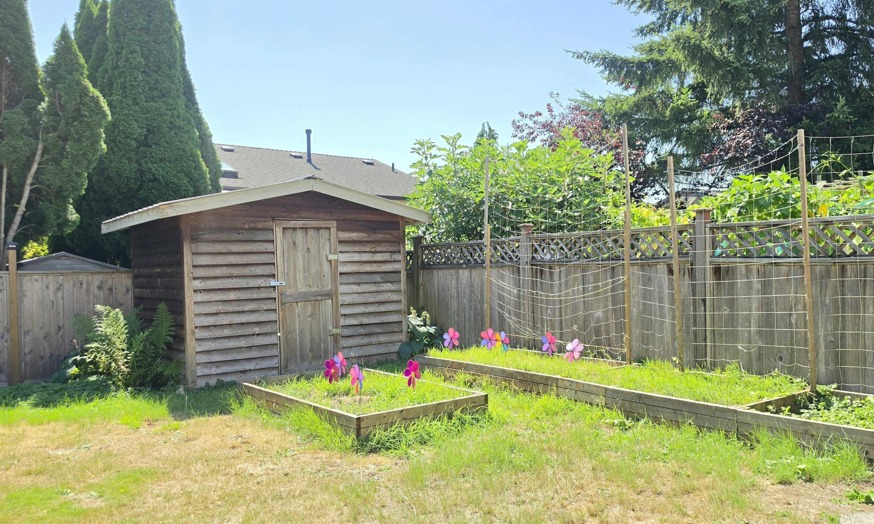 3220 Harwood Avenue, Coquitlam, BC - Outdoor