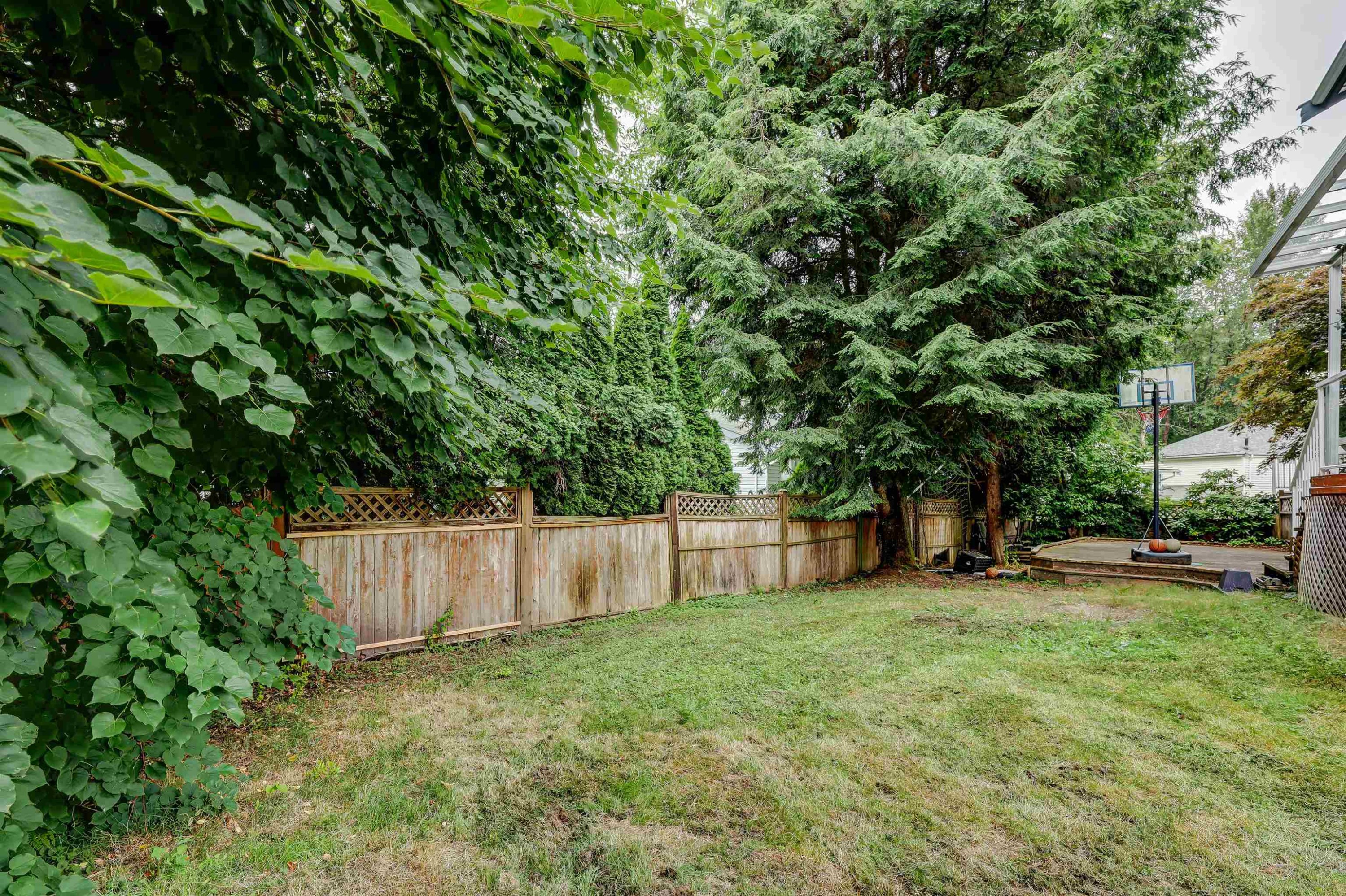 2986 Albion Drive, Coquitlam, BC - Outdoor
