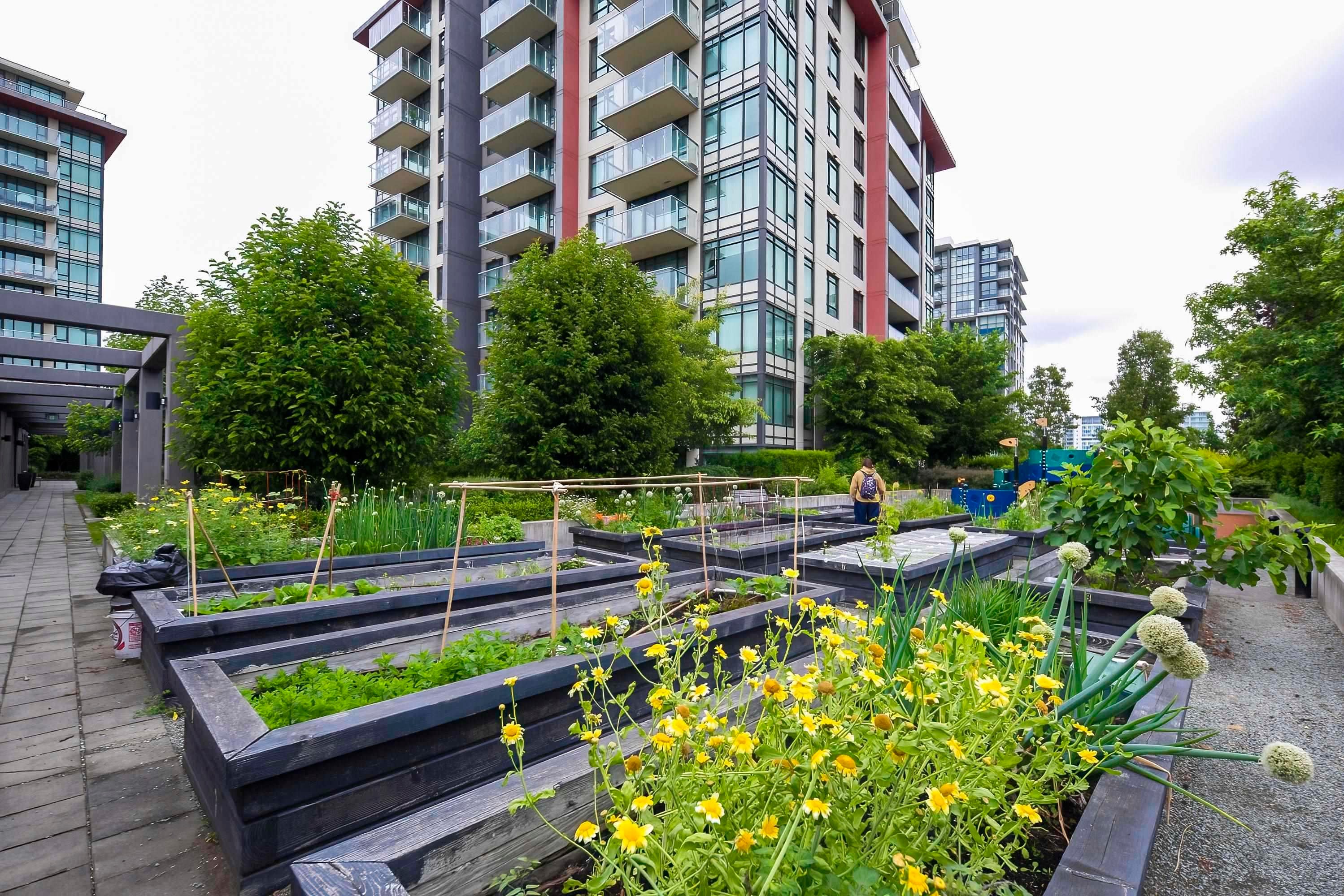 509-7368 Gollner Avenue, Richmond, BC - Outdoor