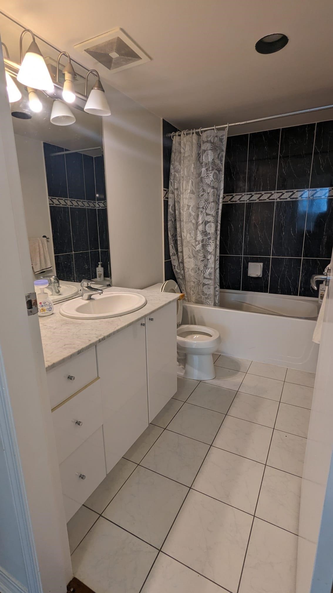 907-1328 Pender Street W, Vancouver, BC - Indoor Photo Showing Bathroom