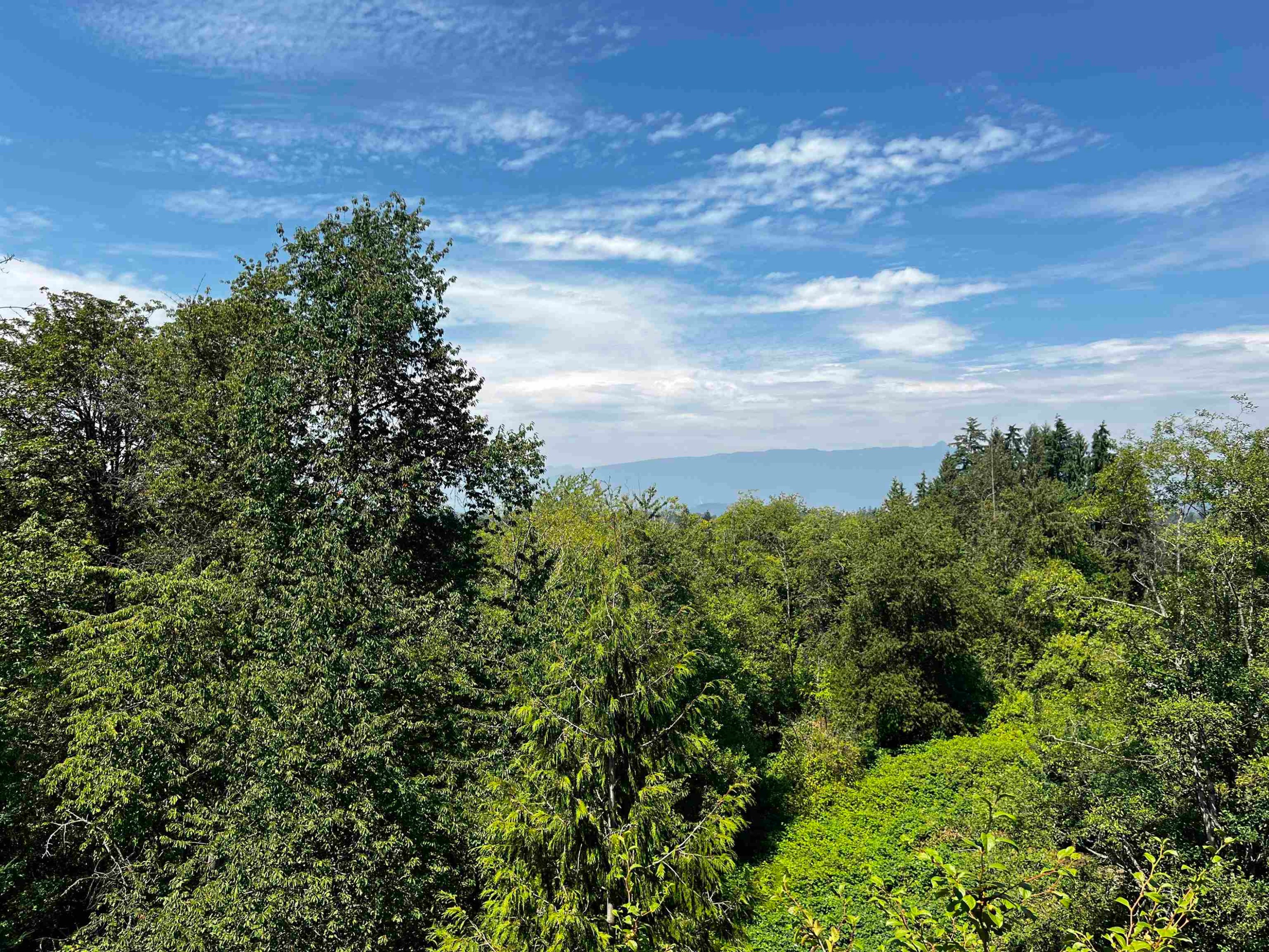 406-12283 224 Street, Maple Ridge, BC - Outdoor With View